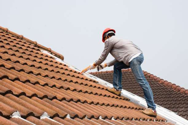 Best Roof Installation  in Auburn, MI