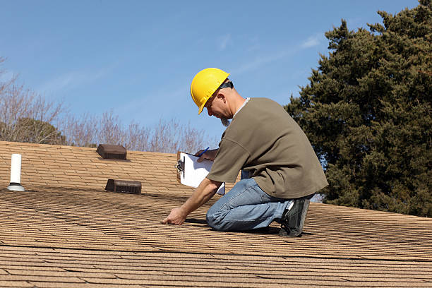 Best Roof Moss and Algae Removal  in Auburn, MI